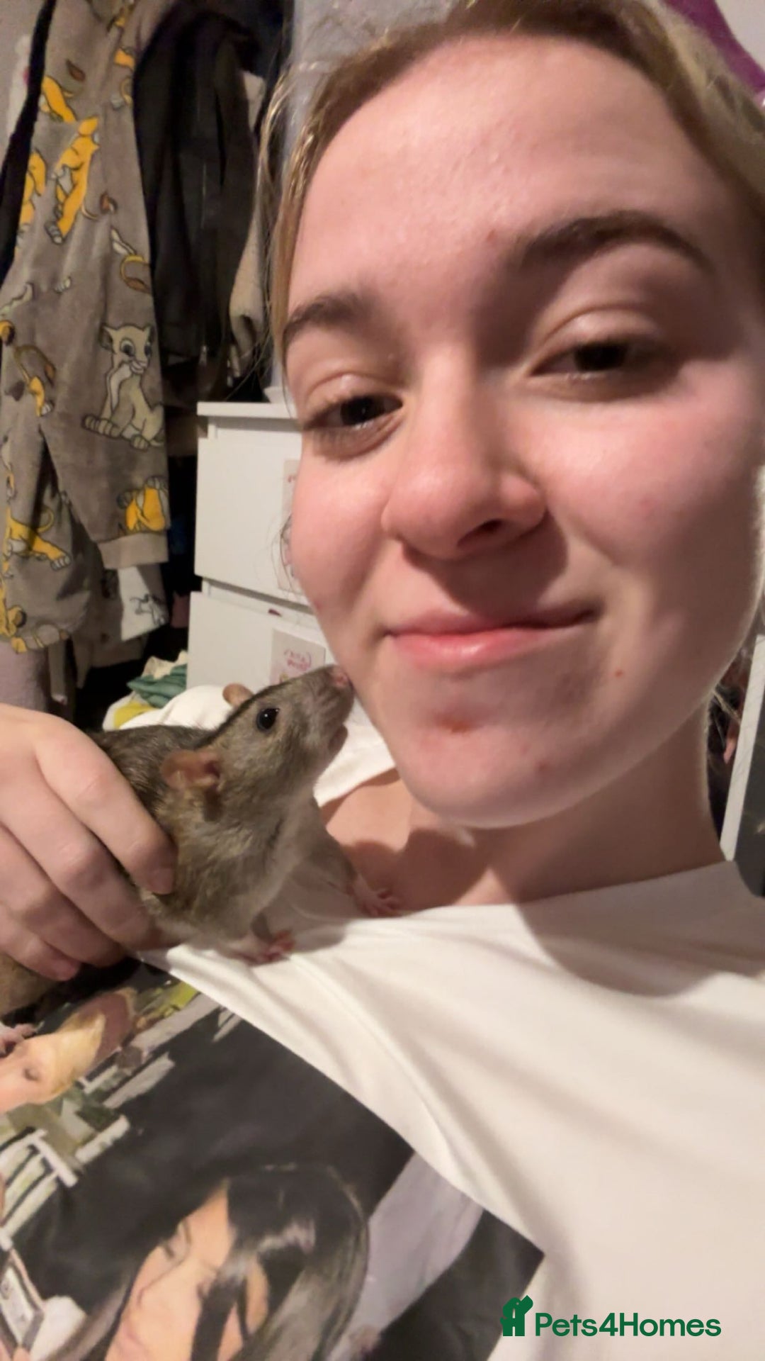 Rat rodents for sale: 3 FEMALE RATS + CAGE - Advert 13