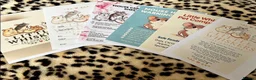 Mouse rodents for sale: Fancy mice  - Advert 17