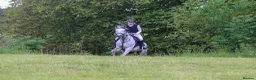English Thoroughbred horses for sale: Mouse 9yo,16.2hh Dapple Grey Thoroughbred Gelding  - Advert 5