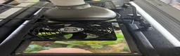Frog reptiles for sale: Bioactive Vivarium in Sutton-in-Ashfield - Advert 2