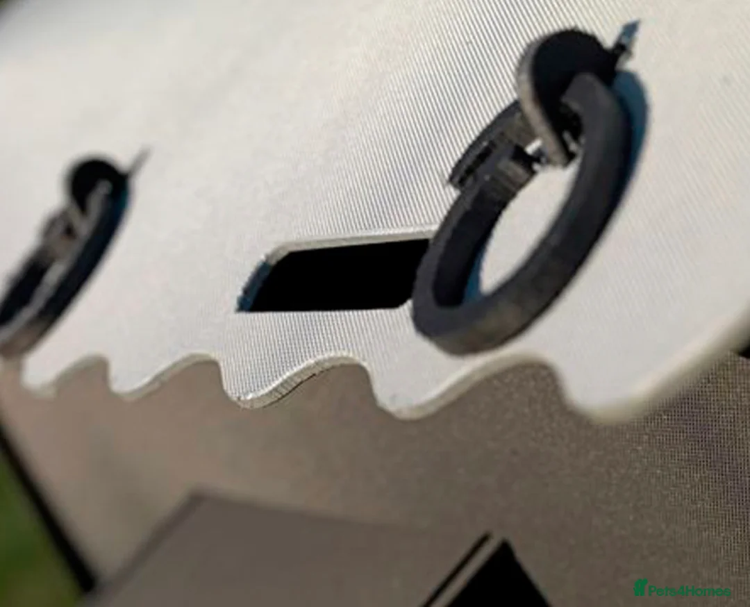 Mixed Breed poultry for sale: Maxi Hen Loft - Recycled - 4/6 hens - Advert 3