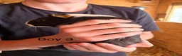 Guinea Pig rodents for sale: 10 week old baby Guinea pigs boys and girls  - Advert 17