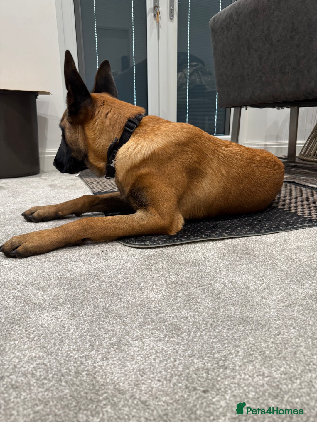 Gallery Image {{count}}