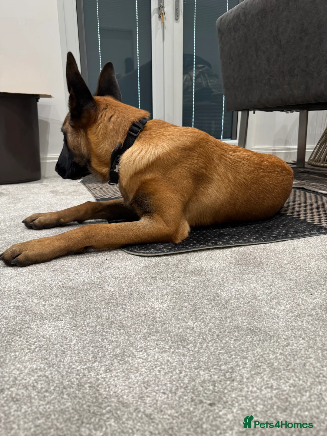 Gallery Image {{count}}