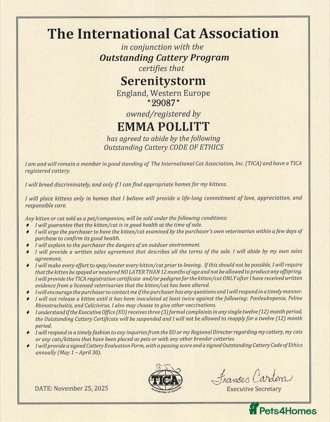 Bengal cats for sale: 🏆Show winning parents. 7 Stunning Bengal Babies💯 - Advert 7