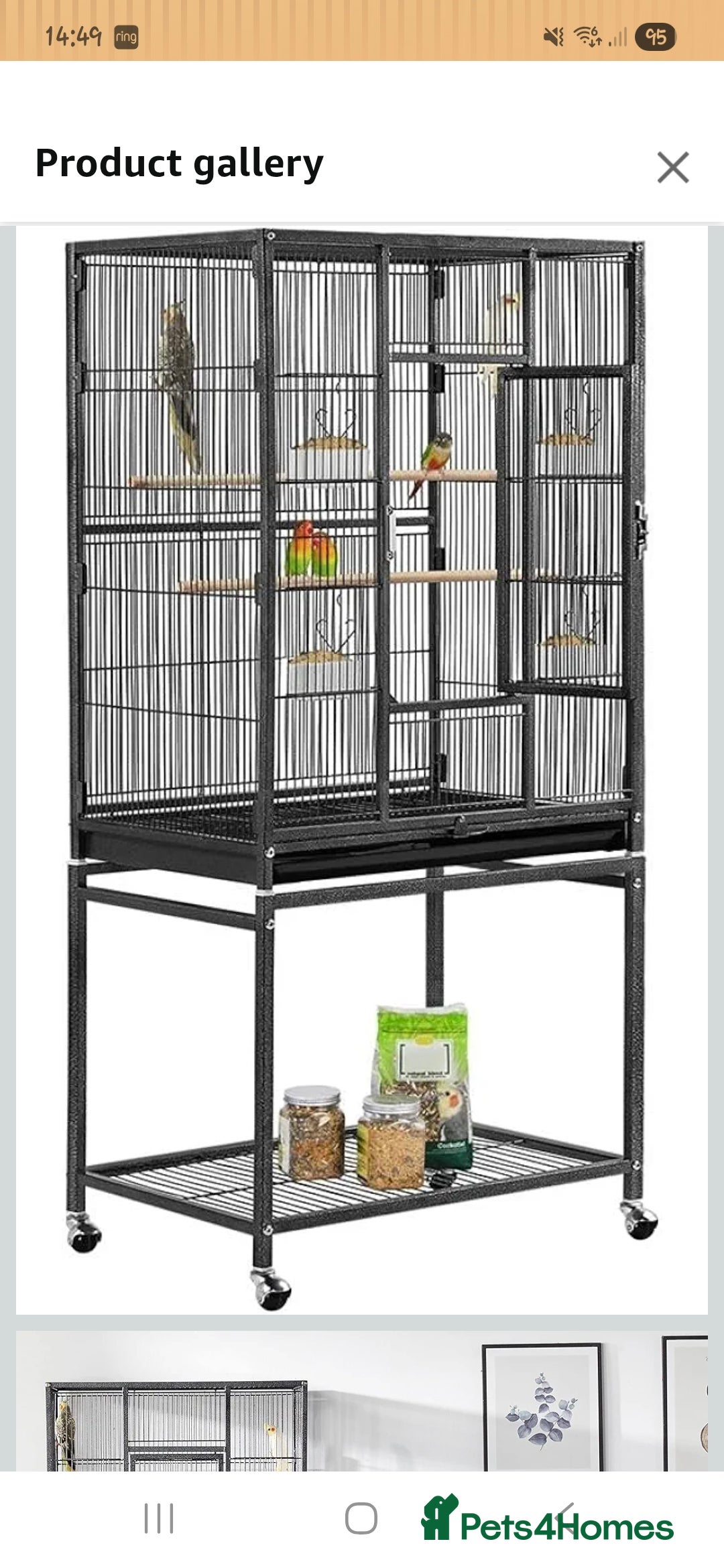 Parrots birds 2x Kakariki parrots and cage - Advert 1