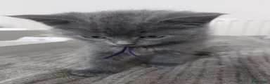 Violet - female