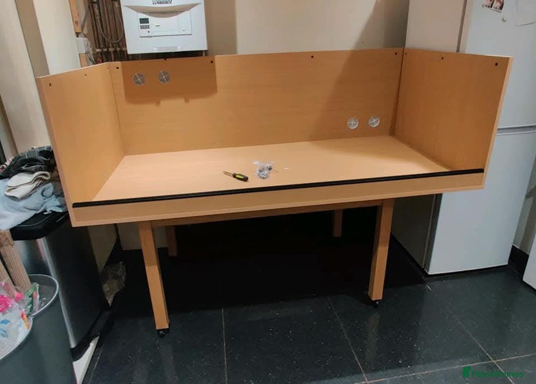 Boa Snake reptiles for sale: Male boa with 6ft viv - Image 5