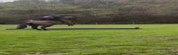 Irish Thoroughbred horses for sale: Super safe teenager dream horse  - Advert 8