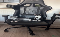 British Shorthair cats for sale: 1 Male & 1 Female kitten - Image 1