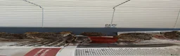 Quail poultry for sale: Young unsexed cortunix quails for sale in Leicester - Advert 7