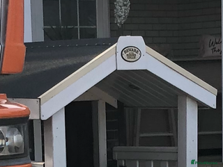 Border Collie dogs - Advert 24