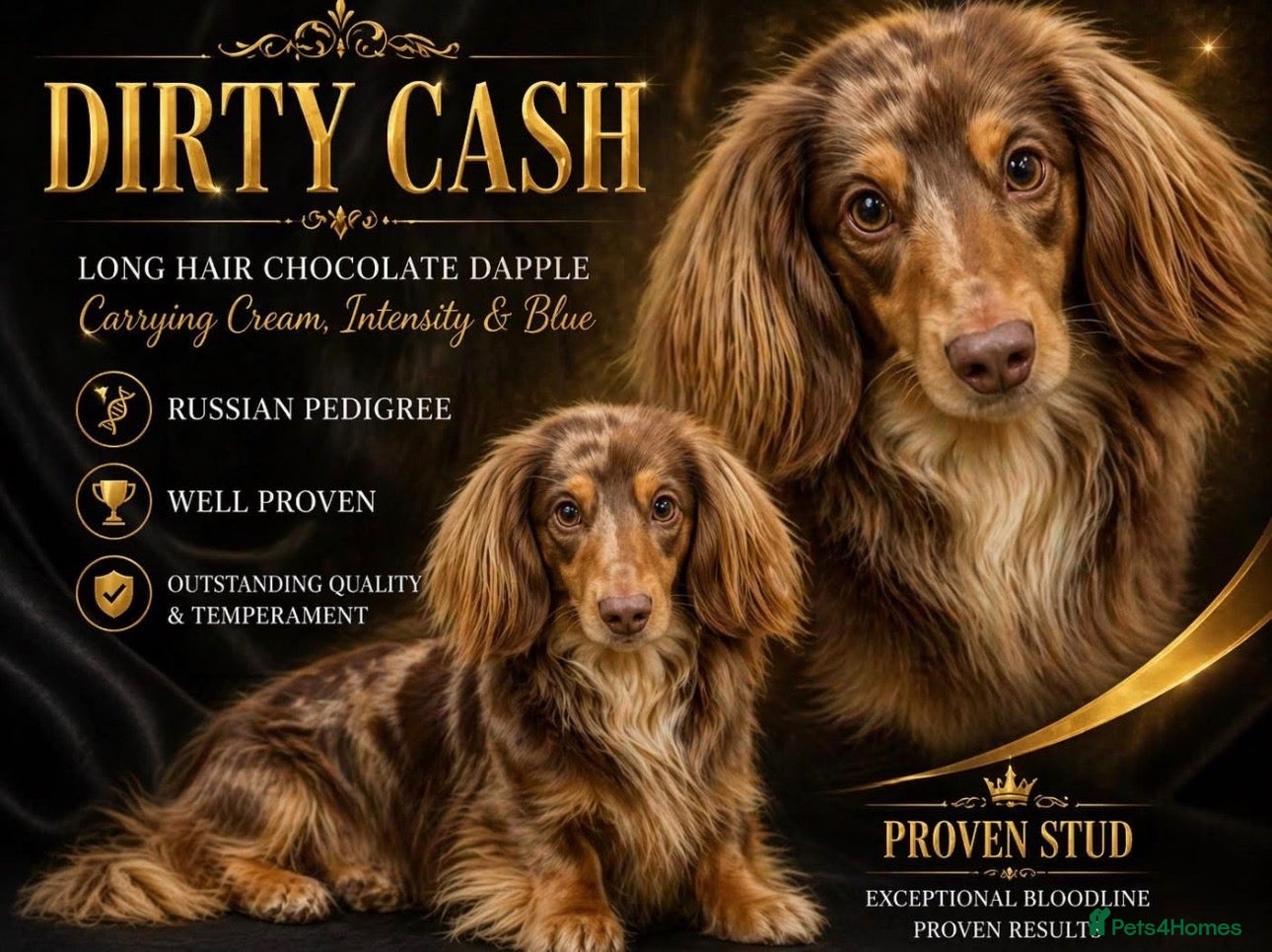 Cash