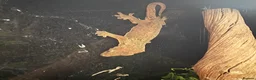Gecko reptiles for sale: Chahoua Mossy Gecko - Advert 6