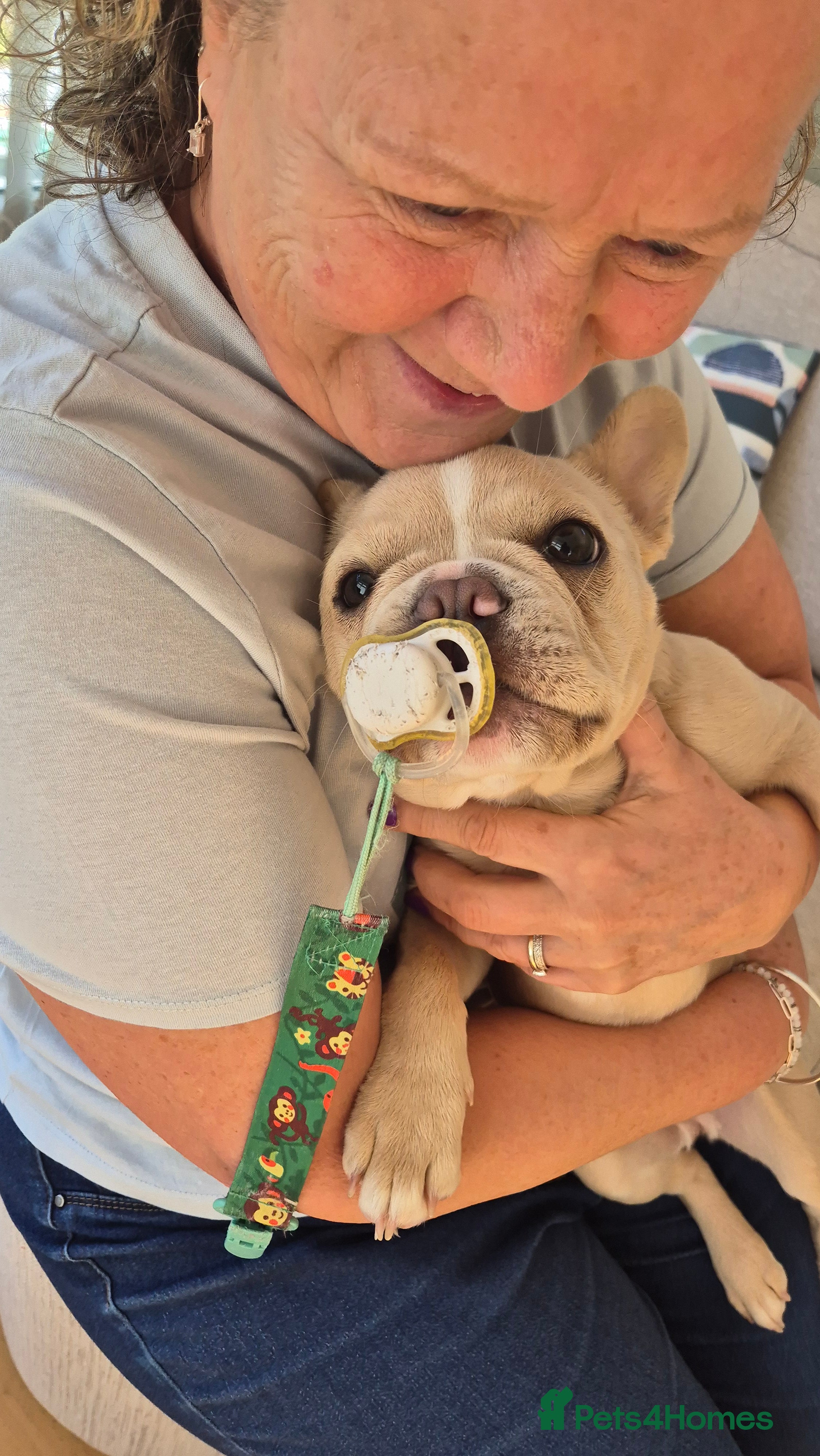 French Bulldog dogs for sale: FRENCH BULLDOG PUPPY - Advert 4