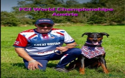 Dobermann dogs for sale: Gorgeous KC Dobermann Puppies  - Image 18