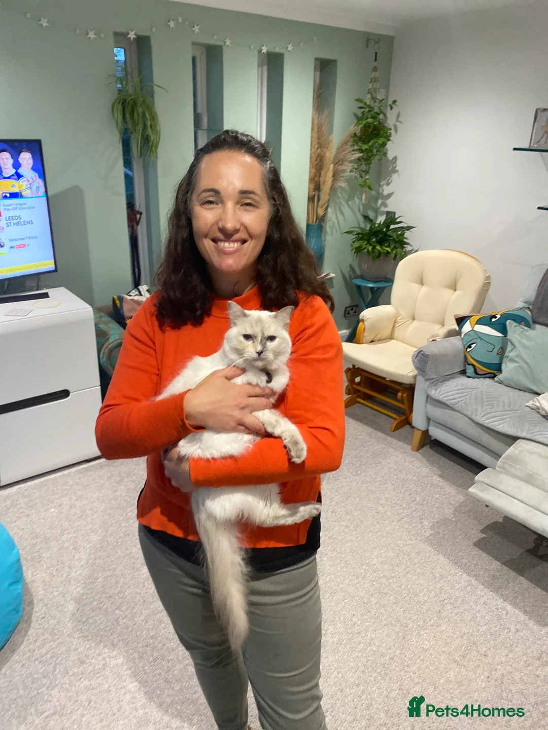 Gallery Image {{count}}