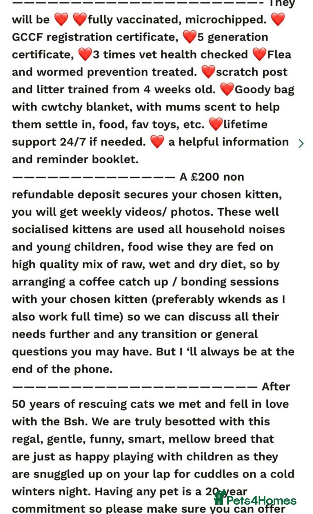 British Shorthair cats for sale: GCCF reg. BSH male and Blue cream girl  - Image 9