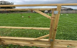 Chickens poultry for sale: Chicken Coops - excellent quality - British Made - Image 19