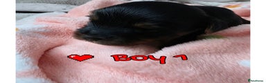 Boy 1