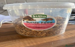 Turtle reptiles for sale: Chinese stripe neck pond turtles - Image 14