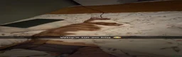 Domestic Shorthair cats for sale: 2 year old boy looking for new family - Advert 4