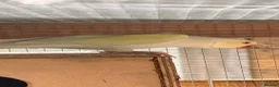 Ringnecks birds for sale: 2 MALES proven breeders mutation ringneck  - Advert 3