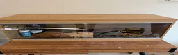 Bearded Dragon reptiles for sale: Vivarium for sale  in London - Advert 3