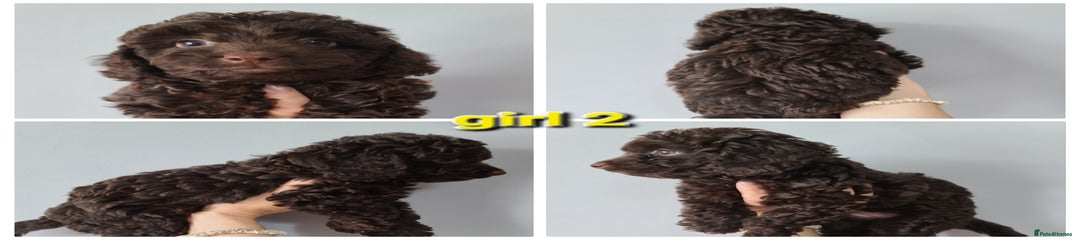 Girl 2