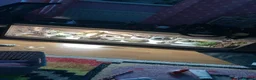 Leopard Gecko reptiles for sale: Leopard gecko - Advert 2