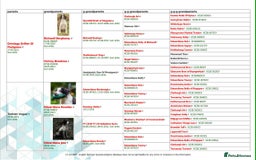 English Springer Spaniel dogs for sale: 🔥Seriously well bred springer spaniel pups - Advert 12