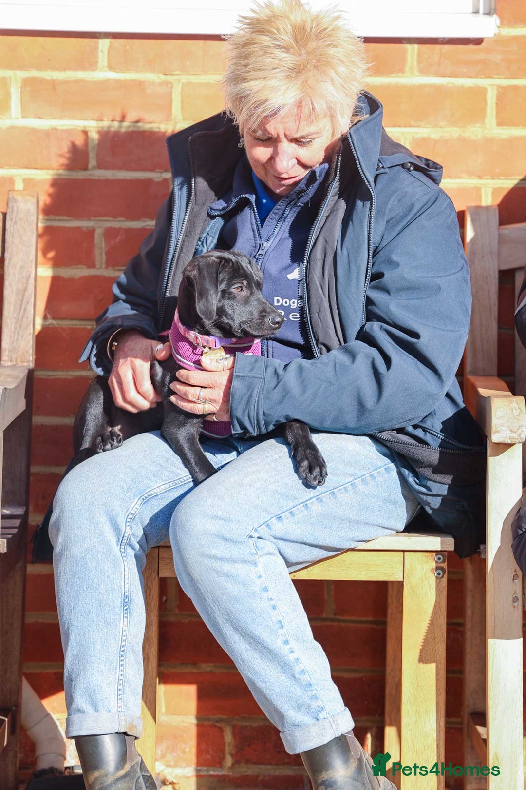Mixed Breed dogs for adoption: Lively Little Bean - Image 16