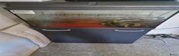 Other/Mixed Breed fish for sale: axolotl fish and a tank - Advert 3