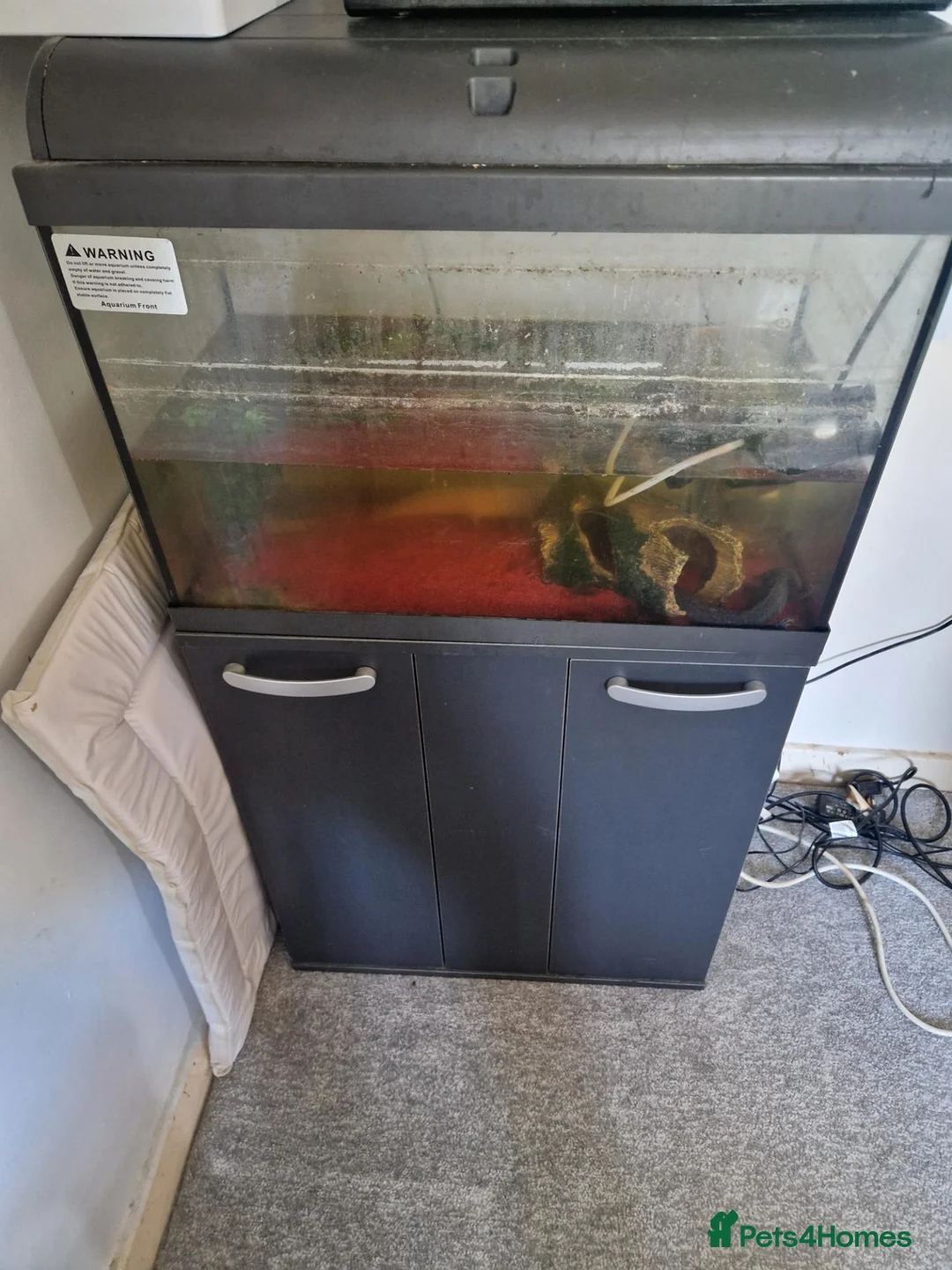 Other/Mixed Breed fish for sale: axolotl fish and a tank - Advert 3