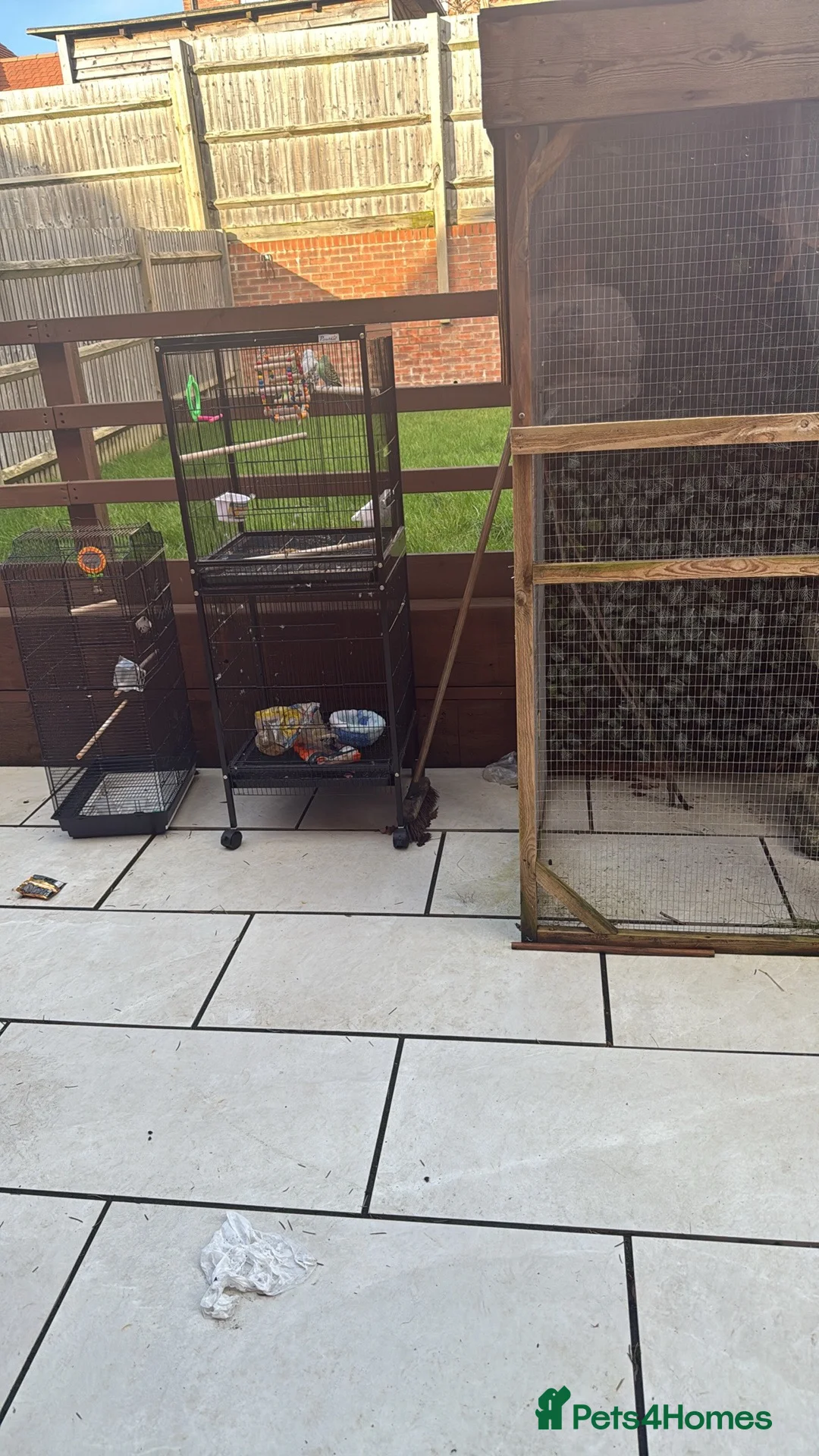 Mixed Breed birds for sale: Bird Avery and double cage  - Advert 1
