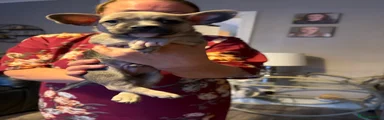 Boy 2
