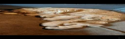 Golden Retriever dogs for sale: 1 BOY LEFT KC  HEALTH TESTED GOLDEN RETRIEVERS  - Advert 10