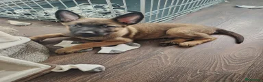 ..