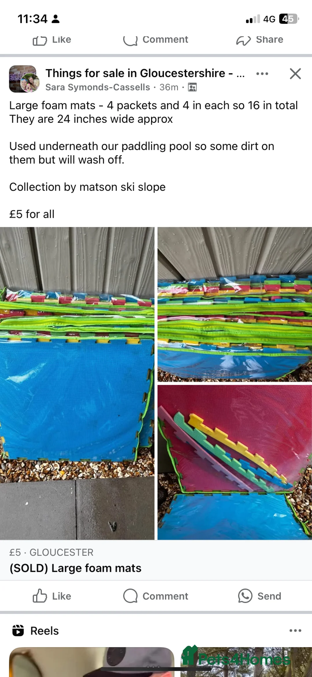 Golden Retriever dogs for sale: Beautiful Golden retrievers  - Advert 10