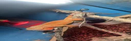 Iguana reptiles for sale: Orange zero iguana  - Advert 1