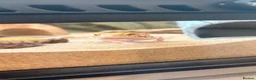 Leopard Gecko reptiles for sale: Albino Leopard Gecko in Penrith - Advert 6