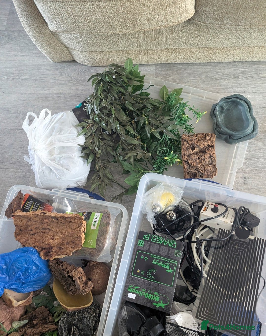 Dragon reptiles for sale: Reptile accessories  - Image 1