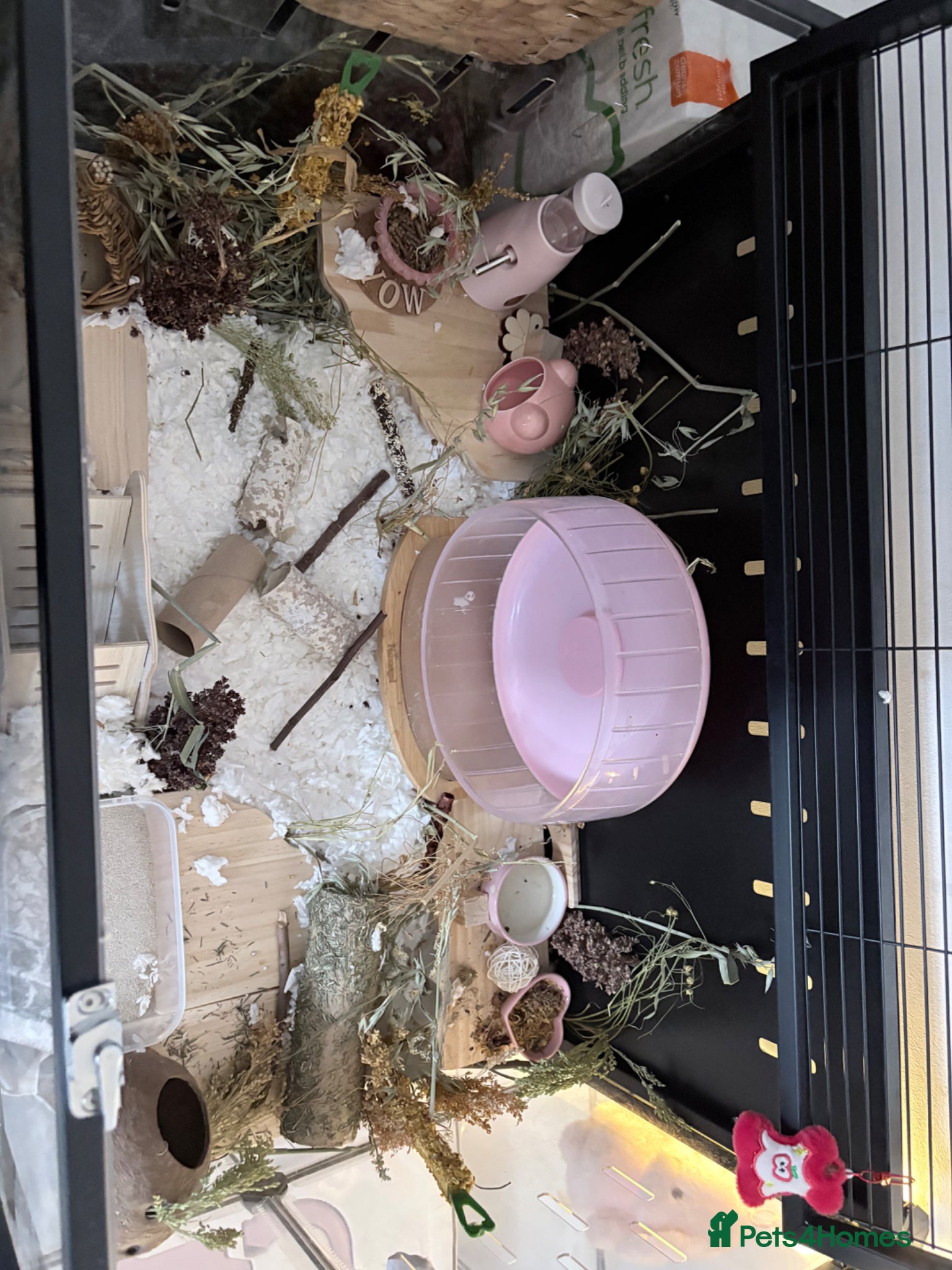 Hamster rodents Syrian hamster cage and all accessories included  - Advert 2