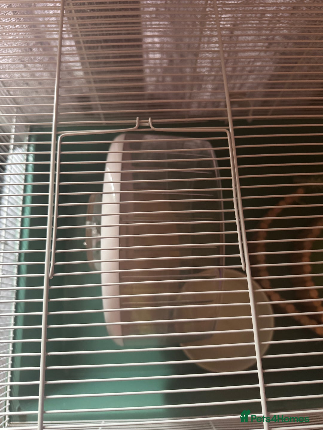 Hamster rodents for sale: Hamster house bundle - Advert 2