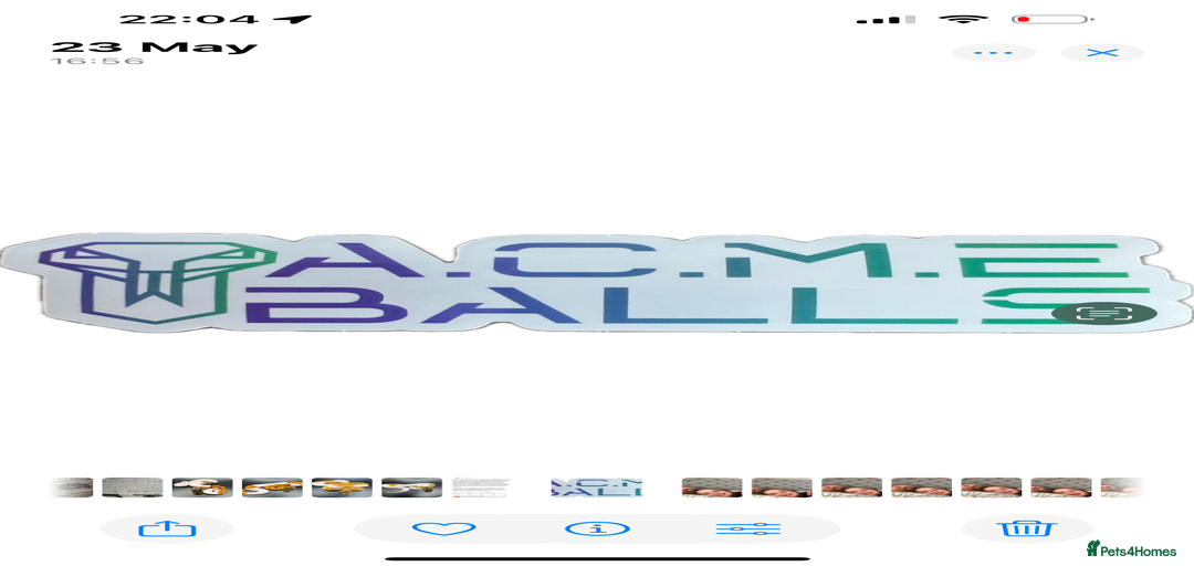 Gallery Image {{count}}