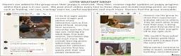 Cocker Spaniel dogs for sale: Stunning Show Cockers - Crufts Champion Pedigree in Stoke-on-Trent - Advert 27