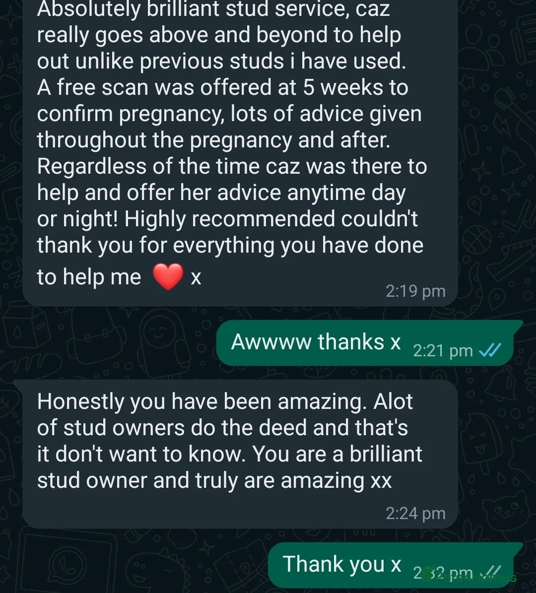 German Shepherd dogs for stud: Health tested Stunning kc reg sable stud  in Bedford - Advert 15