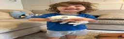 Ragdoll cats for sale: Beautiful Litter of 6 Ragdoll Kittens- 7 weeks old in Ellesmere Port - Advert 12