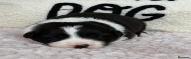 Reserved