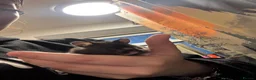 Hamster rodents for sale: hamster  in Kenilworth - Advert 1